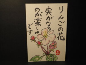 絵手紙：リンゴの花の写真です。
