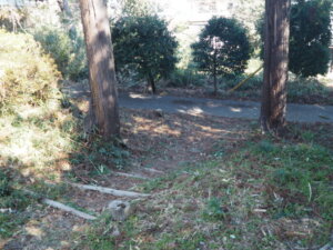 江川八幡宮：社務所前から参道に向かう道の写真です。