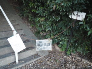 神社の参道の写真です。