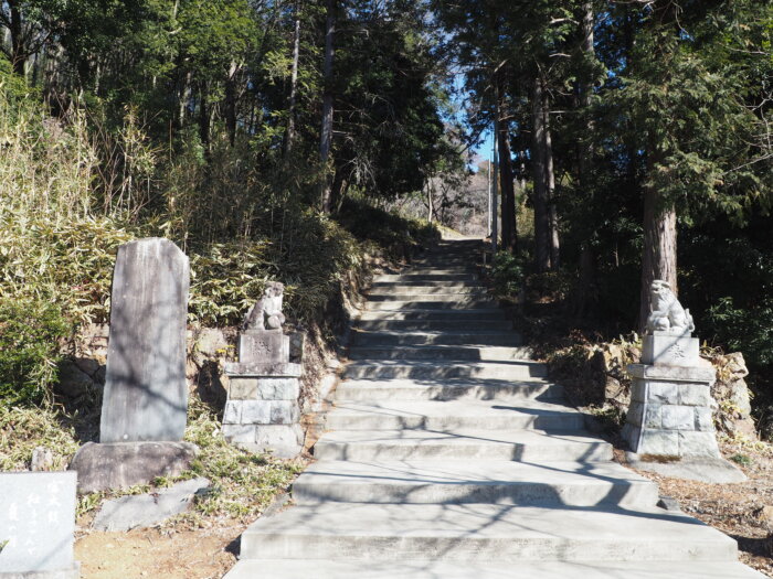雷電神社:参道と狛犬の写真です。