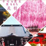 足利市観光協会の名刺の写真です。