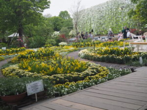 あしかがフラワーパーク：園内の花の開花状況（2023.4.25）の写真です。
