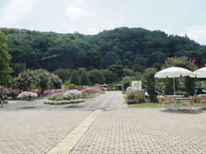 あしかがフラワーパーク：7月の花の写真です。