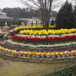 あしかがフラワーパーク：3月の写真です。