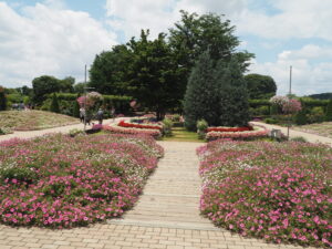 あしかがフラワーパーク：園内の花の写真です。
