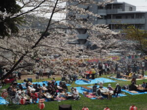 足利公園ステージ広場の写真です。