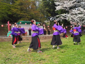 足利公園桜まつり：「八木節女前Japan」の写真です。