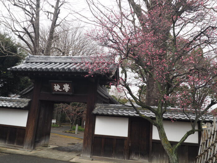 足利学校：學校門と寒紅梅の花の写真です。
