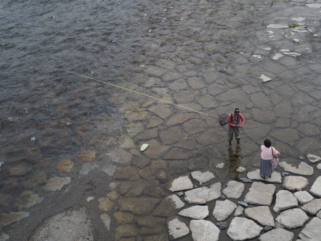 鮎釣りの写真です。