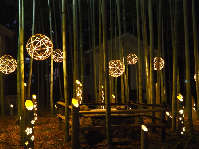 竹林と竹灯りの写真です。