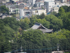 織姫山から望む鑁阿寺の写真です。