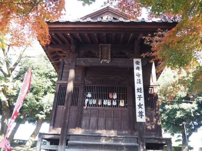 鑁阿寺:蛭子堂の写真です。