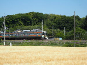 麦秋と電車の写真です。
