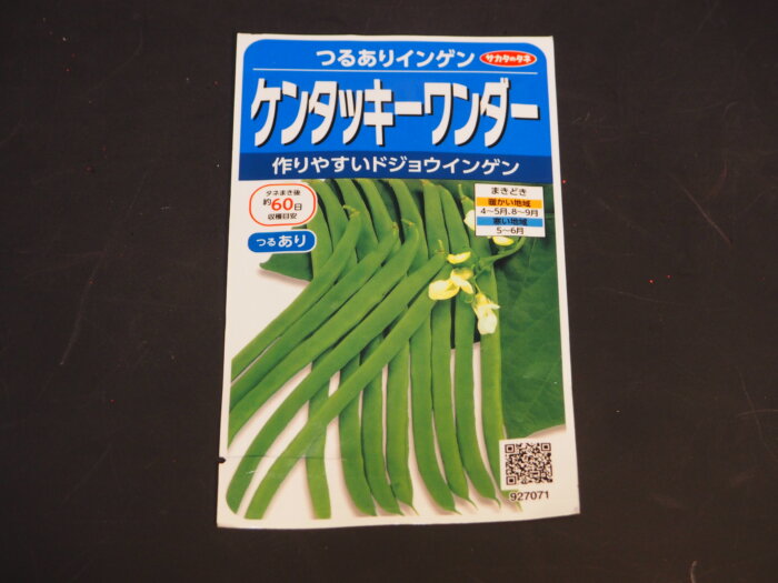インゲンの種袋の写真です。