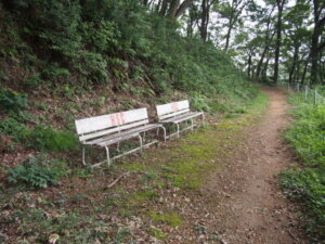 見晴らしのよい場所に置かれたベンチの写真です。