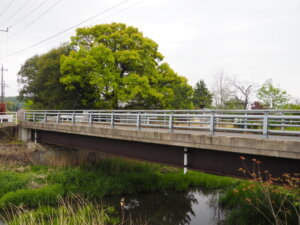 分校橋の写真です。