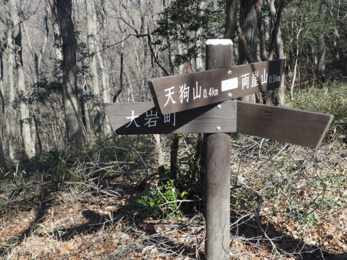 両崖山に向かうハイキングコース:道標の写真です。