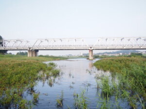 朝日に照らされた渡良瀬橋の写真です。