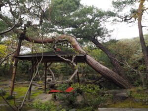 足利物外軒庭園の写真です。
