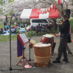 足利公園桜まつりの写真です。