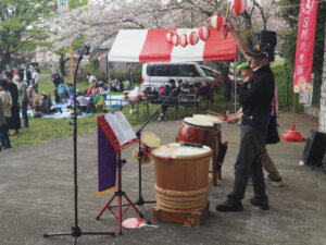 足利公園桜まつりの写真です。