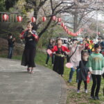 足利公園桜まつりの写真です。