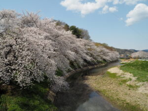 袋川（北郷公園）付近の写真です。
