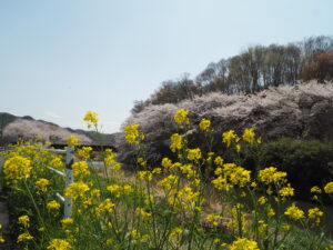 袋川（北郷公園）付近の写真です。