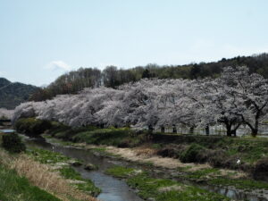 袋川（北郷公園）付近の写真です。