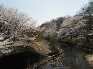 袋川（北郷公園）付近の写真です。