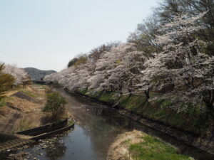 袋川（北郷公園）付近の写真です。
