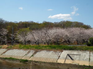 袋川（北郷公園）付近の写真です。