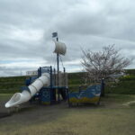 足利ガスふれあい公園・五十部公園の桜の写真です。