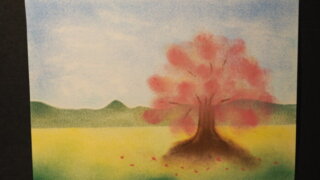 パステル画：桜の木の写真です。