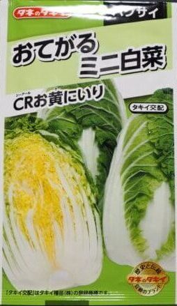 ミニ白菜の種袋の写真です。