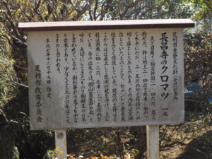 足利三十三観音霊場巡り：長昌寺天然記念物の松の案内板の写真です。