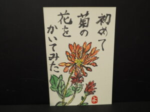 絵手紙：菊の写真です。