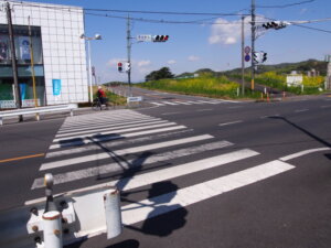 横断歩道を渡る写真です。