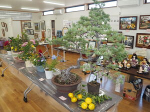 文化祭作品：盆栽の写真です。