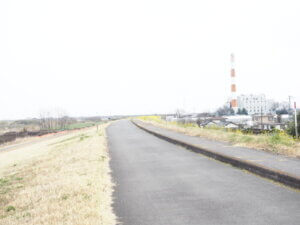 渡良瀬川大橋に向かうサイクリングロードの写真です。