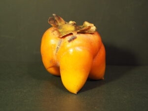 変形した柿の実の写真です。