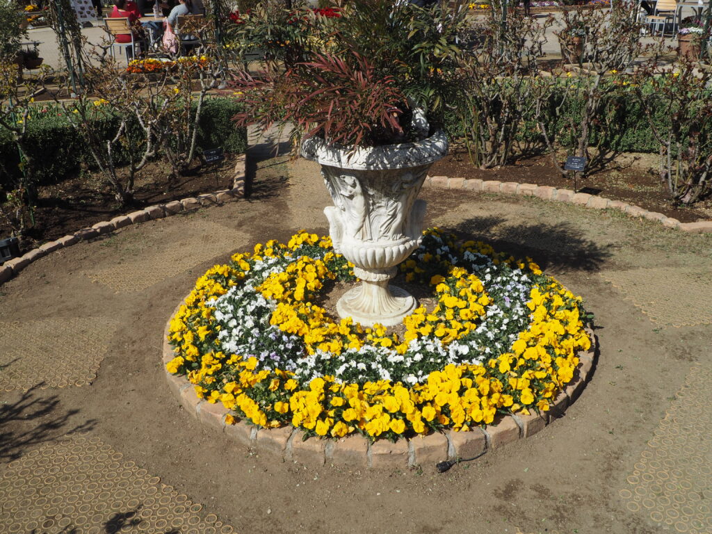 あしかがフラワーパーク：3月の花の写真です。