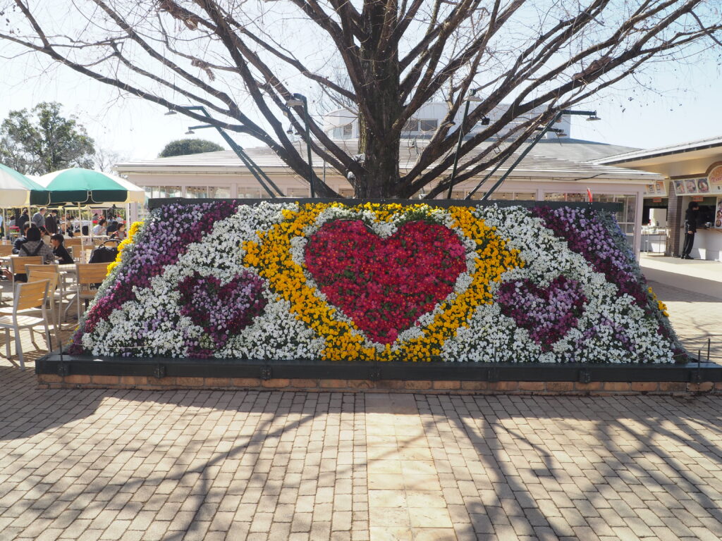 あしかがフラワーパーク：入園してすぐの撮影スポットの写真です。