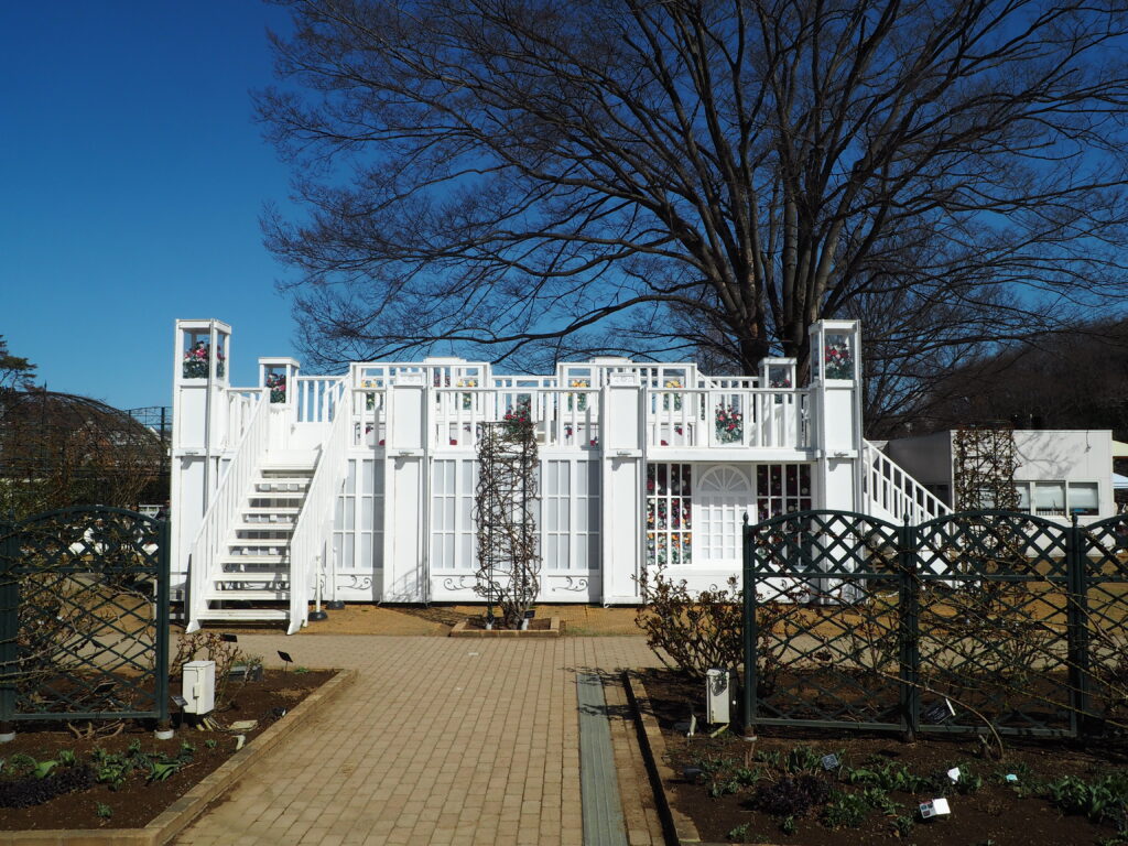 あしかがフラワーパーク：3月の花の写真です。