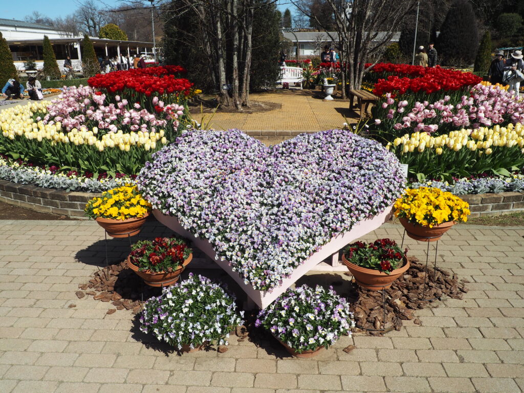 あしかがフラワーパーク：3月の花の写真です。