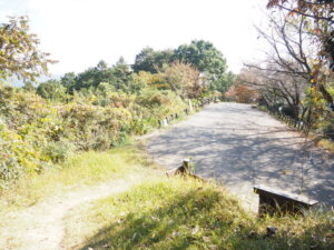 東公園の写真です。