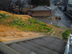渡良瀬健幸緑地：堤防反対側の階段の写真です。