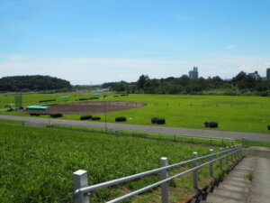 足利花火大会会場の写真です。