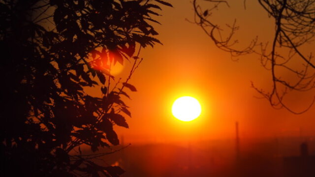 初日の出の写真です。