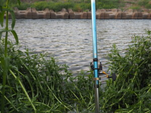 釣竿と渡良瀬川の写真です。